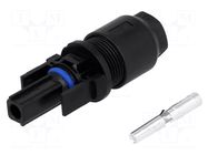 Connector: solar; plug; female; SOLARLOK; IP67; for cable; crimped TE Connectivity