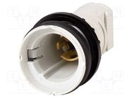 Control lamp; 22mm; RMQ-Titan; -25÷70°C; Ø22.5mm; IP67; Kind: flat EATON ELECTRIC