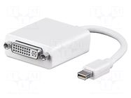 Adapter; DVI-D (18+1) socket,mini DisplayPort plug GOOBAY