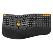 Wired Ergonomic Keyboard Delux GM905DB Grey/Orange, Delux