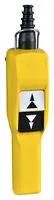 PENDANT SWITCH, DPST-NO, 2WAY, 3A