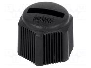 Protection cover; IP67; Enclos.mat: plastic; male M8 connectors AMPHENOL LTW