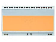 Backlight; LED; 55x31x3.6mm; amber DISPLAY VISIONS