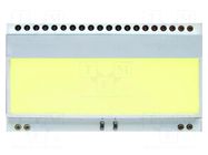 Backlight; LED; 55x31x3.6mm; yellow-green DISPLAY VISIONS