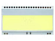Backlight; LED; 55x31x3.6mm; yellow-green DISPLAY VISIONS