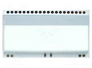Backlight; LED; 55x31x3.6mm; white DISPLAY VISIONS