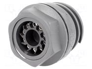 Connector: circular; socket; male; PIN: 10; 10A; 250V; EXPlora; IP68 BULGIN