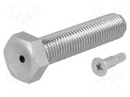 Pin; M12; Plunger mat: steel; Plating: zinc; Thread len: 70mm FATH