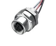 CABLE ASSY, 4P M12 RCPT-FREE END, 19.7"