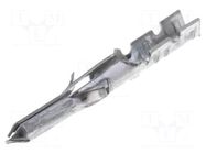 Contact; male; Standard .062"; tinned; 30AWG÷24AWG; bulk; 3.68mm MOLEX