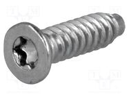 Screw; 3x12; Head: countersunk; Torx®; steel FISCHER ELEKTRONIK