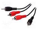 Cable; RCA plug x2,both sides; 5m; black BQ CABLE
