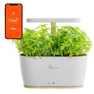 Extralink Smart Garden | Smart Planter | Wi-Fi, Bluetooth, EXTRALINK