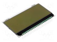 Display: LCD; alphanumeric; FSTN Positive; 20x4; white; 66x38.1mm DISPLAY VISIONS