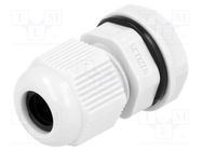 Cable gland; M12; 1.25; IP68; polyamide; grey; UL94V-2; 12.1mm KSS WIRING