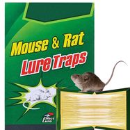 Extralink Mouse and Rat Glue Trap, Strong Adhesive Powerful Sticky Pad with Scent, 50 Pieces, EXTRALINK