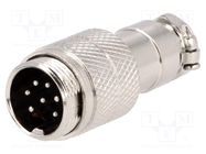 Plug; microphone; male; PIN: 7; for cable; straight NINIGI