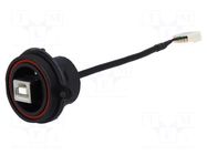 Cable; USB Buccaneer; 5pin socket,USB B socket; 0.132m; IP68 BULGIN