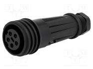 Connector: circular; plug; female; PIN: 5; Buccaneer 900; for cable BULGIN