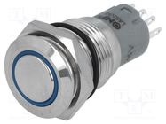 Switch: vandal resistant; Pos: 2; SPDT; 0.5A/220VAC; 1A/24VDC; IP67 