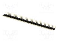 Pin header; pin strips; male; PIN: 40; angled 90°; 2mm; THT; 1x40 CONNFLY