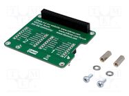Multiadapter; prototype board; Add-on connectors: 2 MIKROE