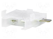 Fuse holder; transparent; automotive fuses MTA