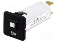 Circuit breaker; 240VAC; 48VDC; 12A; SPST; Poles: 1; T9-311-611 SCHURTER