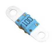 AUTOMOTIVE FUSE, SLOW BLOW, 100A, 58VDC