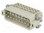 Connector: HDC; contact insert; male; 16A; 250V; Han® A; PIN: 16 HARTING
