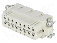 Connector: HDC; contact insert; female; 16A; 250V; Han® A; PIN: 16 HARTING