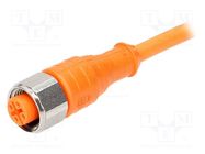 Connection lead; M12; PIN: 4; straight; 10m; plug; 230VAC; 4A; 230VDC 