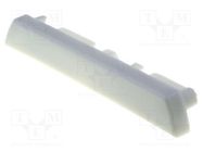 Cap for LED profiles; TRIADA OPTOFLASH