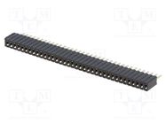 Socket; pin strips; female; PIN: 36; straight; 1.27mm; THT; 1x36 CONNFLY
