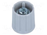 Knob; polyamide; Øshaft: 6mm; Ø15x16.3mm; grey; Shaft: smooth RITEL