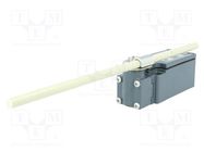 Limit switch; adjustable fiber glass rod, R 19- 189mm; NO + NC PIZZATO ELETTRICA