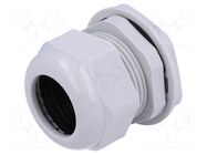 Cable gland; PG36; IP68; polyamide; grey; UL94V-2; 24.4mm KSS WIRING
