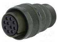 Connector: circular; plug; for cable; PIN: 10; female; soldering AMPHENOL