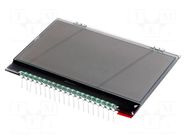 Display: LCD; graphical; 128x64; FSTN Positive; white; PIN: 20; 1x20 DISPLAY VISIONS