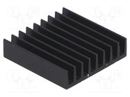 Heatsink: extruded; black; L: 19mm; W: 19mm; H: 4.8mm; 22K/W; anodized FISCHER ELEKTRONIK