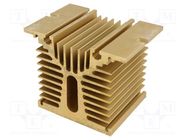 Heatsink: extruded; Y; golden; L: 70mm; W: 110mm; H: 81mm; aluminium ANLY ELECTRONICS