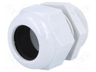 Cable gland; PG29; IP68; polyamide; grey; HELUTOP HT-PG HELUKABEL