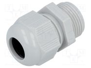 Cable gland; PG13,5; IP68; polyamide; grey; HELUTOP HT-PG HELUKABEL