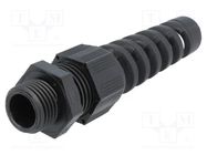 Cable gland; with strain relief; M16; 1.5; IP68; polyamide; black HELUKABEL