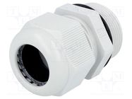 Cable gland; with long thread; M32; 1.5; IP68; polyamide; grey FIBOX