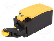 Limit switch; lever R 20mm, plastic roller Ø13mm; NO + NC; 6A 