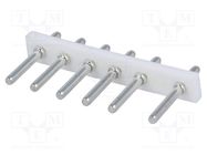 Socket; wire-board; 5/7.5mm; PIN: 6; THT; 250V; 5A; tinned; -25÷85°C NINIGI