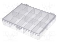 Container: collective; with partitions; polypropylene NEWBRAND