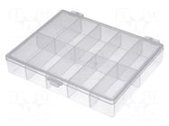 Container: collective; with partitions; polypropylene NEWBRAND