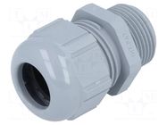 Cable gland; NPT3/4"; IP68; polyamide; grey; SKINTOP® LAPP